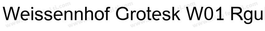 Weissennhof Grotesk W01 Rgular字体转换